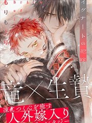 题材卡封面:世界观设定题材的档案示意